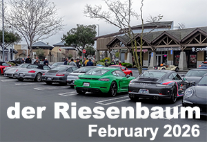 February der Riesenbaum